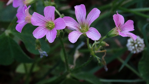 DSC02982.jpg DSC02982.jpg