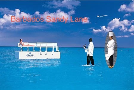 sandy-lane-service.jpg