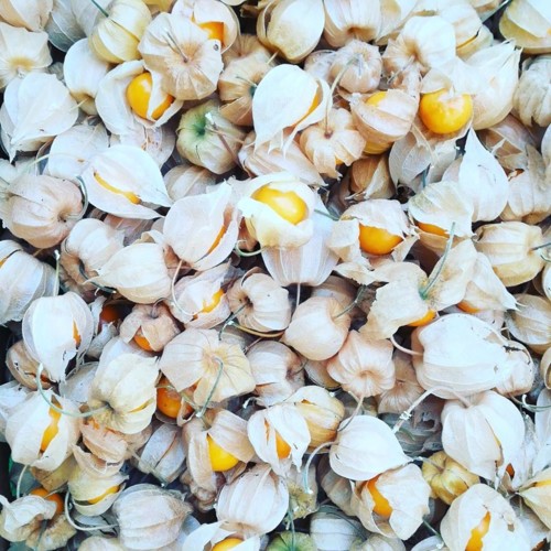 41552580_1205658992907193_1244927417848430592_n.jp 41552580_1205658992907193_1244927417848430592_n.jp