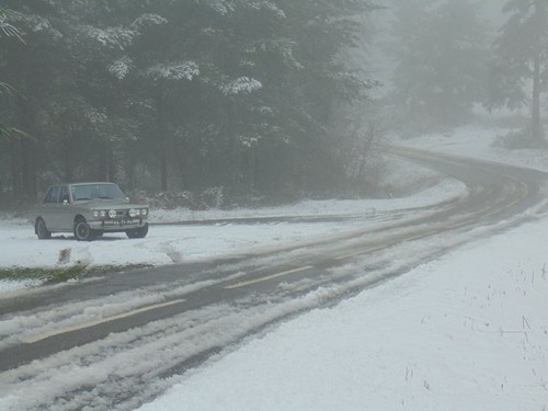 12670164_1693820080871900_7472668447293549835_n.jp