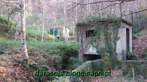 Burgo_18.jpg Burgo_18.jpg