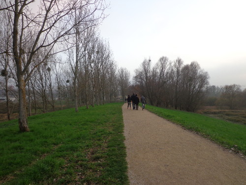 DSC01343.JPG DSC01343.JPG