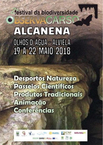 Observacarso generico.jpg