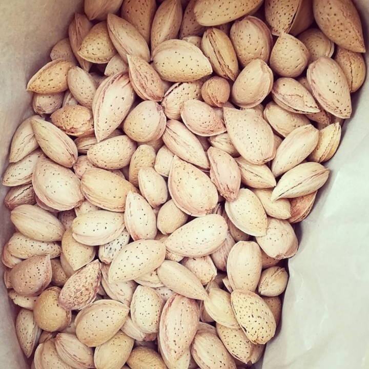 72378266_1480003825472707_2843399814605963264_n.jp 72378266_1480003825472707_2843399814605963264_n.jp