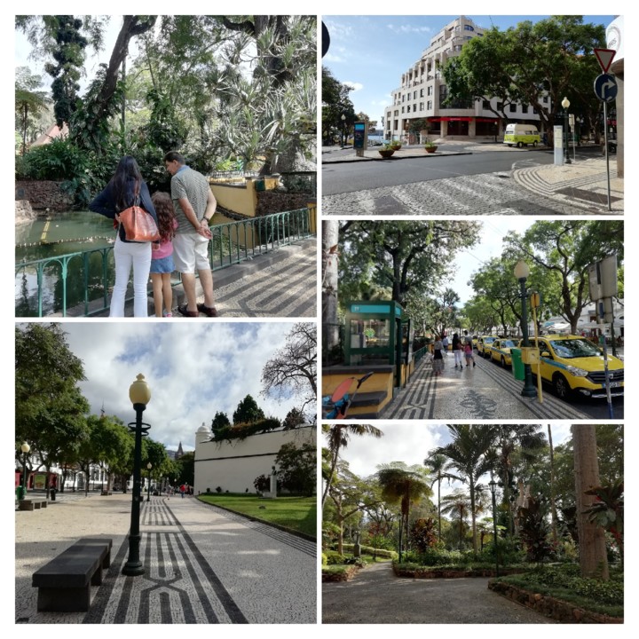 IMG_20201011_114225-COLLAGE.jpg IMG_20201011_114225-COLLAGE.jpg