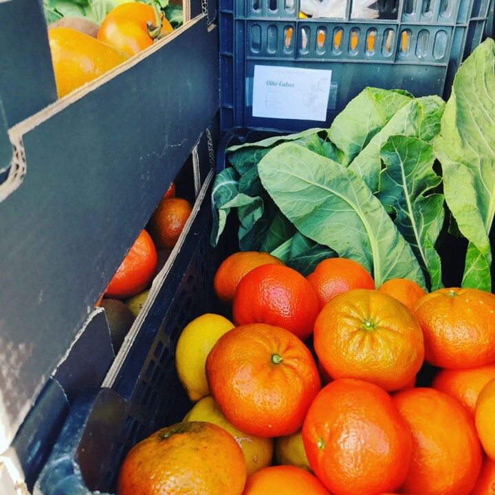 328623519_1266147720632429_8057224234303389311_n.j