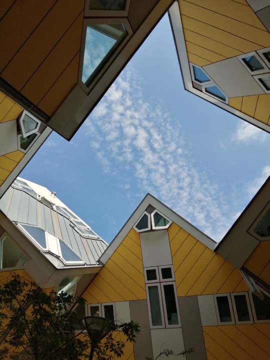 IMG_20200718_113814.jpg IMG_20200718_113814.jpg