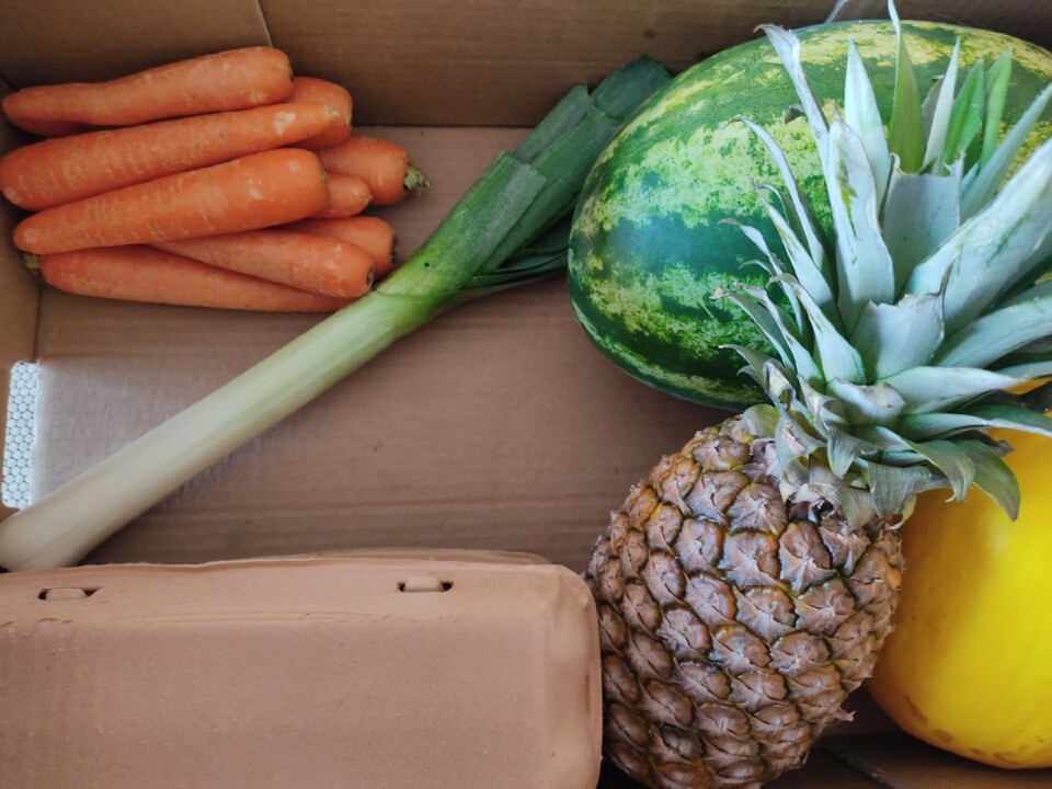 301924921_2394280727378341_3430914177667369866_n.j