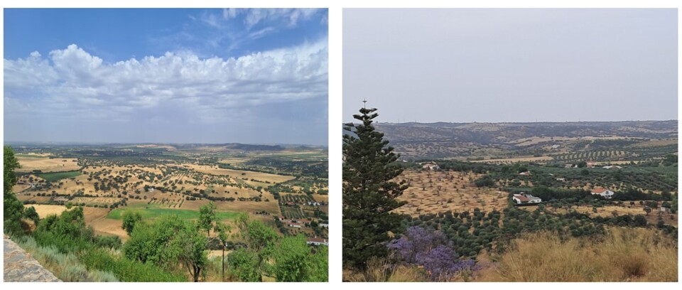 alentejo.jpg