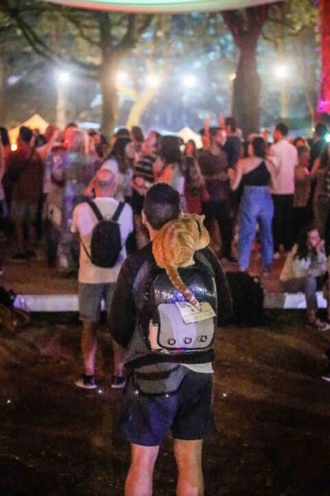 tradidancas a 13.jpg