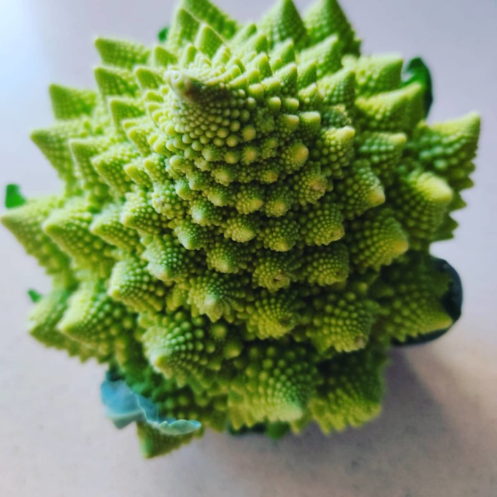 136658686_1917660441707041_7266316066909060780_o.j