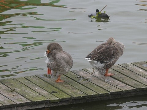 06a_Manhã_Praia_de_Mira (29).JPG