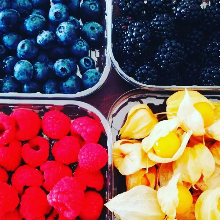 292538598_2359423374197410_4297945654454502594_n.j