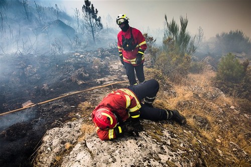 bombeiros cansados.jpg
