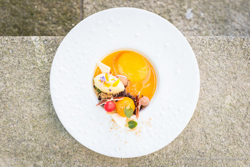 40-1086Terra Transmontana©PhotoMárioCerdeira.jpg