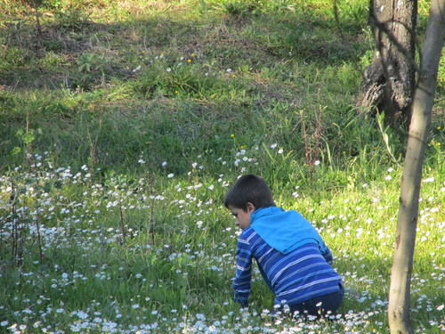 IMG_1327.JPG