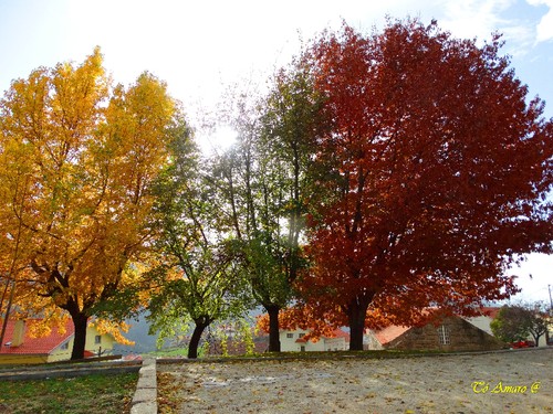Fotos de Outono !!! 017.jpg