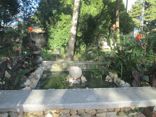 IMG_4461.JPG IMG_4461.JPG