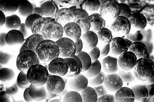 IMG_8058_ (2)_ (3)_tonemappedAnd4more_tonemapped-0