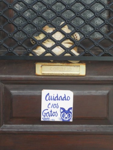 10275961_10202091510663401_3193449079838192908_n[1