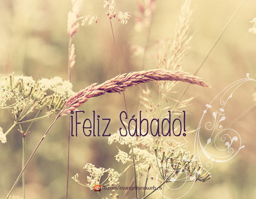 sabado.jpg