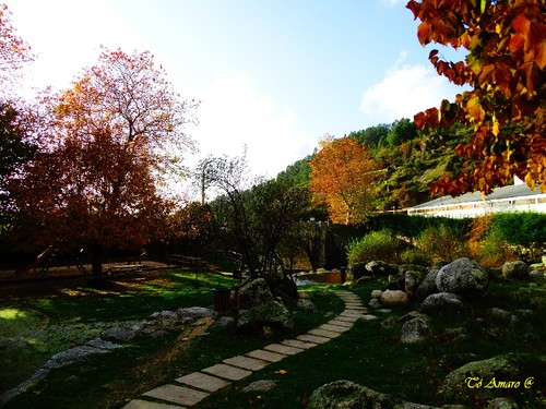 Fotos de Outono !!! 067.jpg