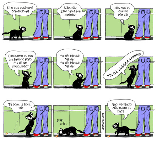 veterinario-gatos-caxias-43.jpg veterinario-gatos-caxias-43.jpg