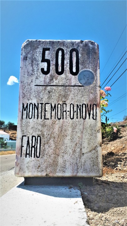 20200609_122641_001 (3).jpg