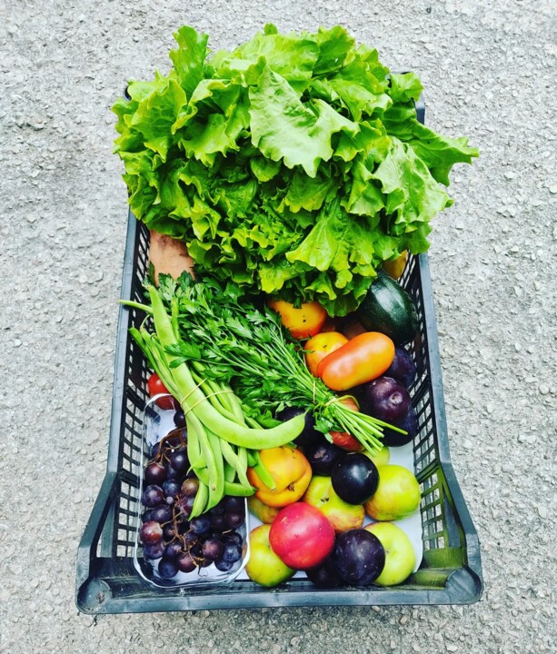 452174697_875888741235204_5798747097368777534_n.jp