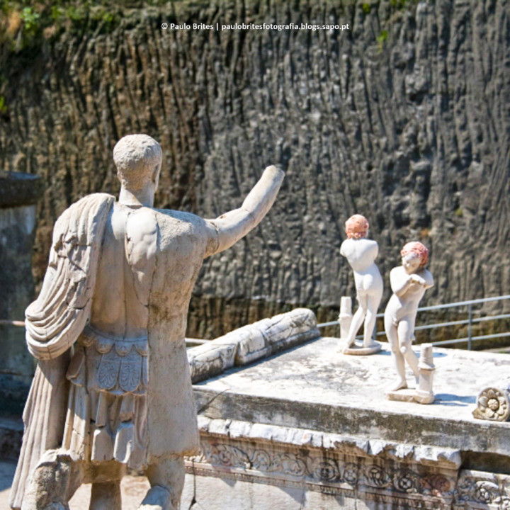 DSC_11426-1.jpg DSC_11426-1.jpg