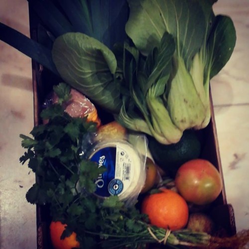 49897655_1283296358476789_1378551658677534720_n.jp