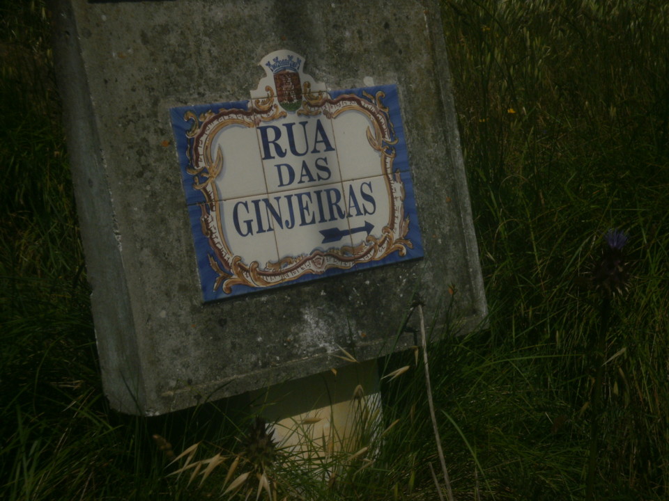 P4237929.JPG P4237929.JPG