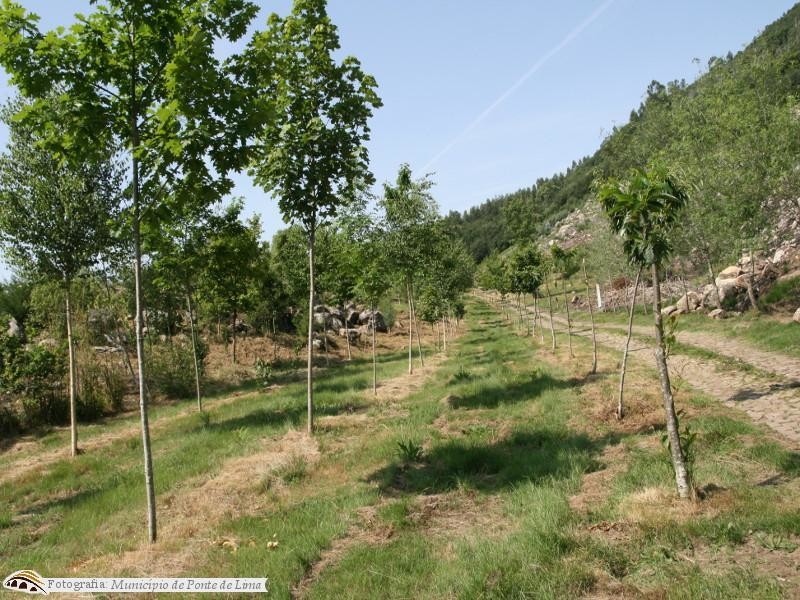 Parque Florestal - Area Paisagem_1_1280_720.jpg