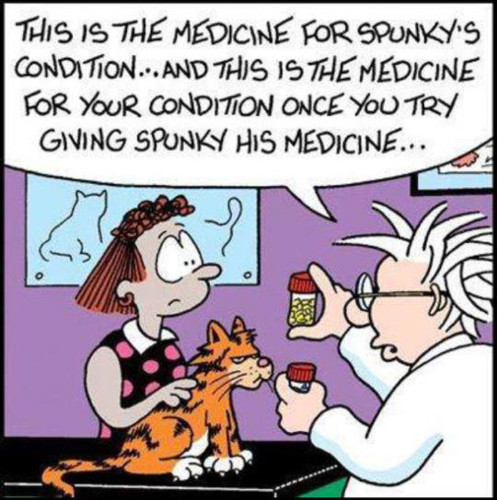 giving-a-cat-a-pill.jpg