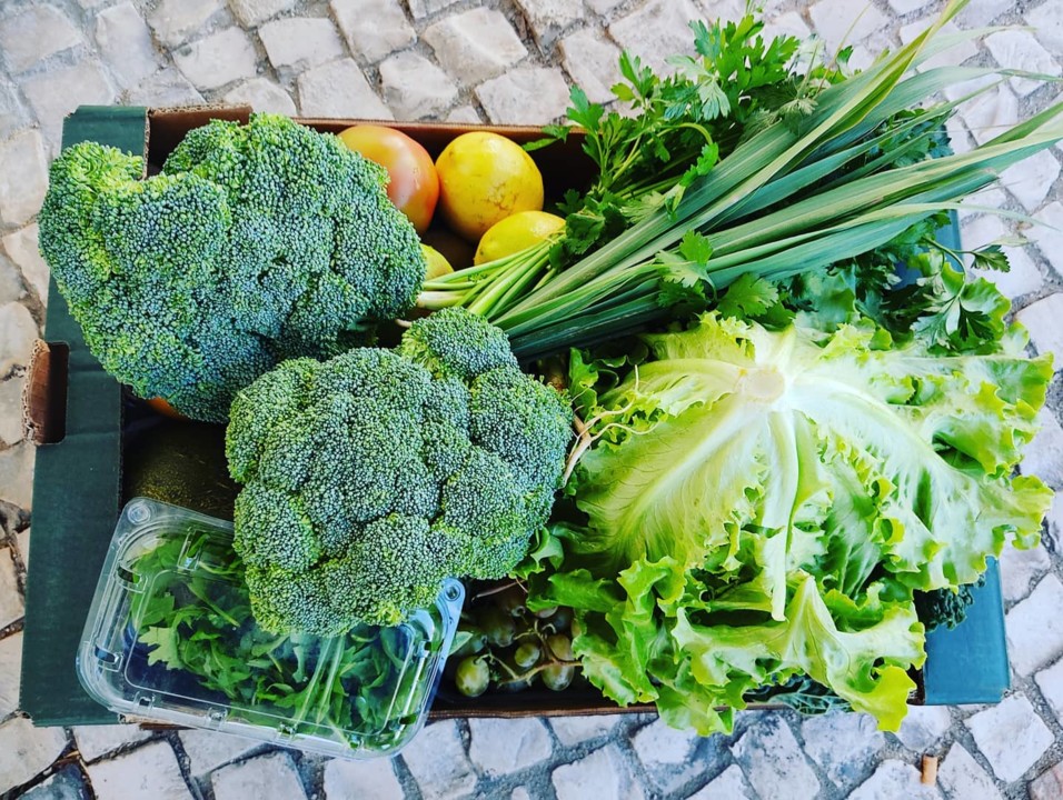 120756157_1830138167125936_8715329575354564022_o.j