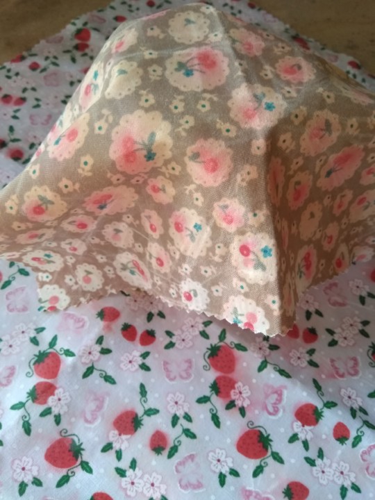 IMG_20190705_073052.jpg IMG_20190705_073052.jpg