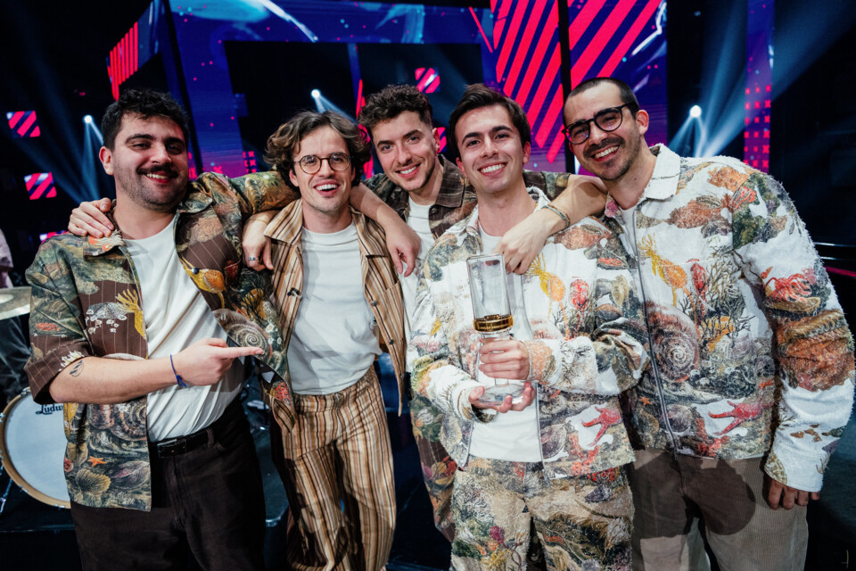 napa festival da canção
