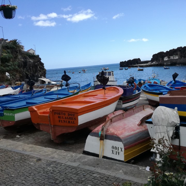 IMG_20190419_160334_656.jpg IMG_20190419_160334_656.jpg