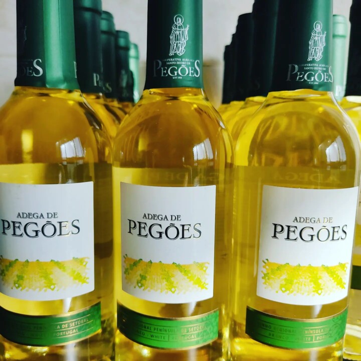 316687256_2476963225776757_3733461391757018394_n.j