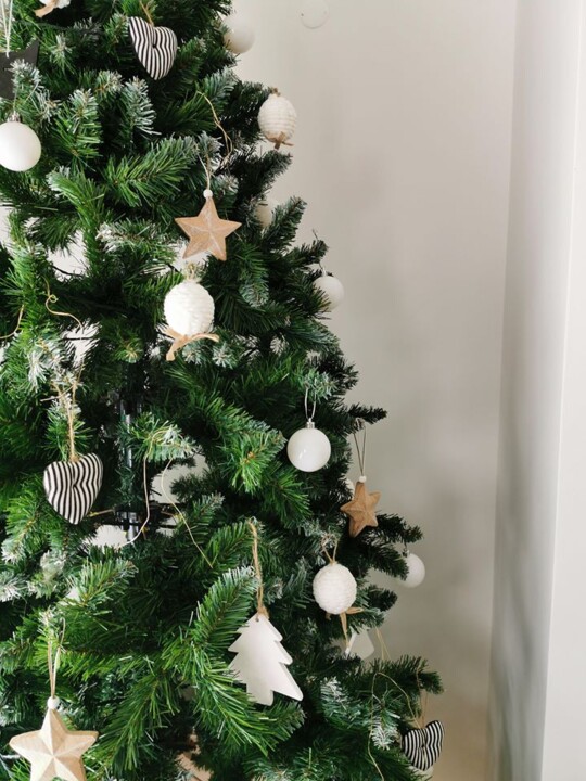 78925141_10217944189213499_9177306210502705152_o.j