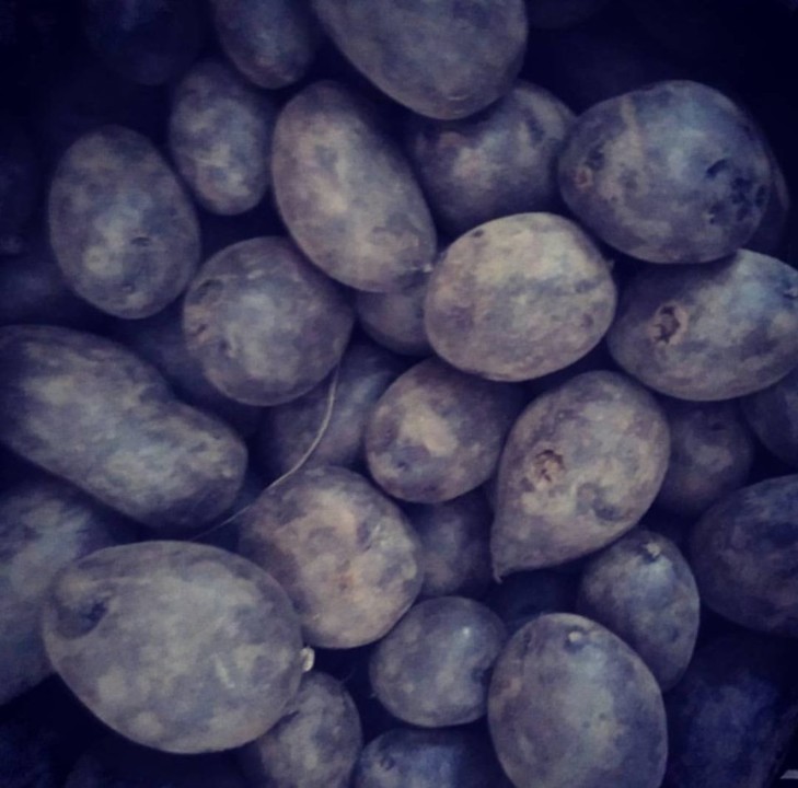 86449687_1619598918179863_4345860837391466496_o.jp