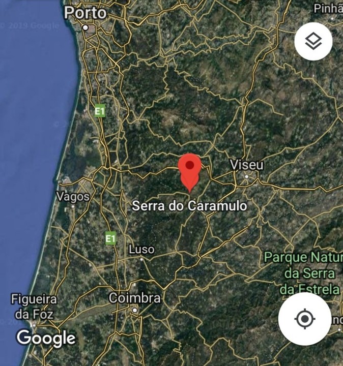 Screenshot_2019-08-21-20-35-22-896_com.google.andr