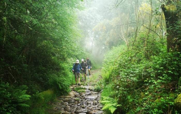 Caminho da geira balanco 2025 (01).jpg