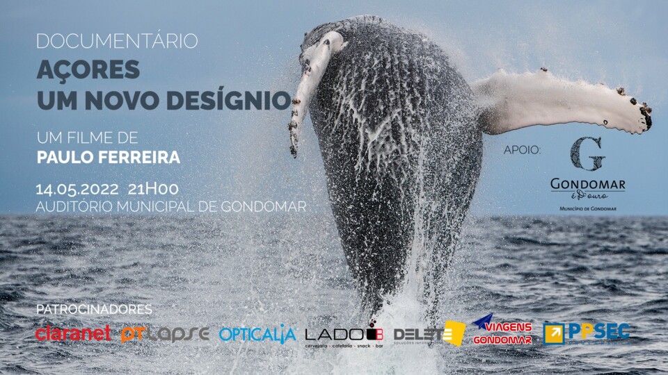 açores - um novo designio.jpg