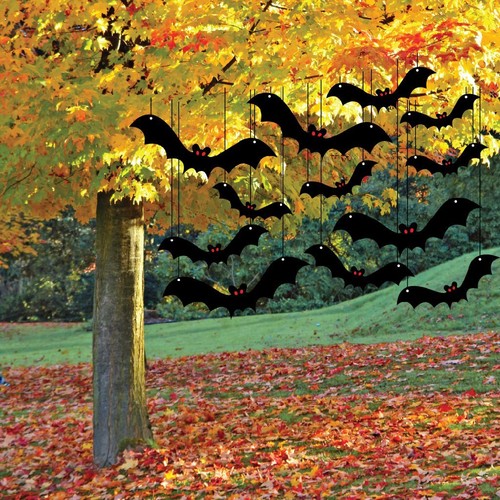 81Idw1vzXIL._SL1024_.jpg 81Idw1vzXIL._SL1024_.jpg