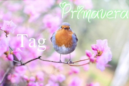 primavera.jpeg primavera.jpeg