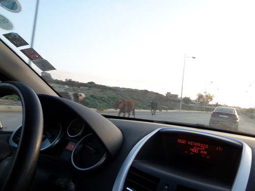 marrocos 2015 151.JPG