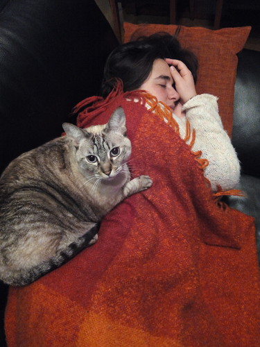 IMG_20150126_224400.jpg IMG_20150126_224400.jpg