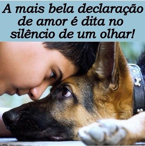 declaração.jpg declaração.jpg