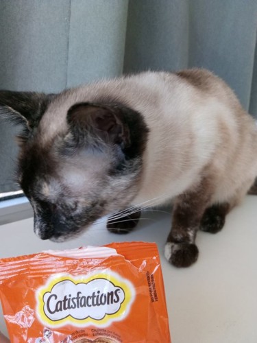 32492027_1707862009250557_4370789184059736064_n.jp